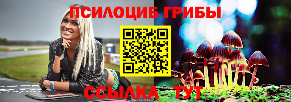 Галлюциногенные грибы MAGIC MUSHROOMS  Вход с VPN  Гулькевичи 